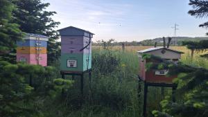 three beehives sitting in a field of tall grass at Logis Hôtel Relais de Vincey in Vincey