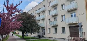 a building with a flowering tree in front of it at Loft apartament in Giżycko