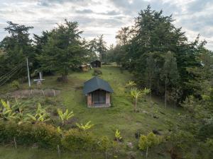 a small house in the middle of a field with trees at Las Cabañas La Libertad in Macanal +20 photos