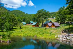 a group of houses on a hill next to a river at Katun Senic in Berane