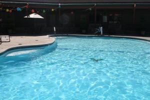 a swimming pool with a bird in the water at Jackson Rancheria Casino Resort in Jackson +23 photos