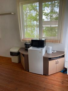 a kitchen with a small refrigerator and a window at Valterkrasti in Ogureckaja +7 photos