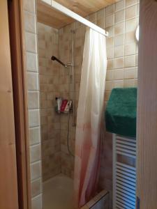 a shower with a shower curtain in a bathroom at Stilvolle 3,5 Dachwohnung "Alpenblick" in Davos