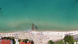 an overhead view of a beach with people in the water at Hotel Evridiki in Fourka