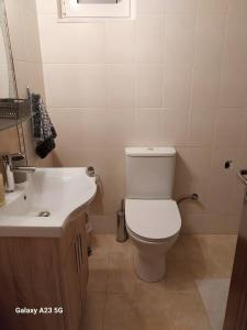 a bathroom with a toilet and a sink at Menidi apartment 202 in Menídion