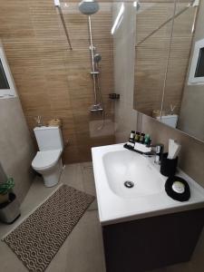 a bathroom with a sink and a shower and a toilet at Prikas Apartments A in Kefalos