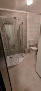 a bathroom with a shower and a toilet at Ferienhaus im Eggetal in Preußisch Oldendorf