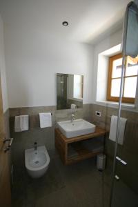 a bathroom with a sink and a toilet at Hilpoldhof in Castelrotto