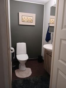 a bathroom with a white toilet and a sink at Apartment in Raahe