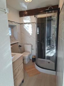 a bathroom with a shower and a toilet and a sink at comfortable studio in Grasse