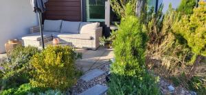 a patio with a couch and some bushes at rosmarin-am-sund in Altefähr