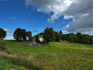 a cow grazing in a field in front of a house at Ferienwohnung Almzeit in Gressenberg