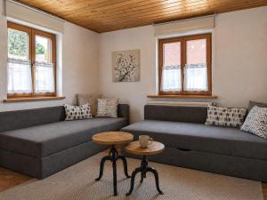 a living room with two couches and a table at Ferienhaus zur Altmühl - Ferienwohnungen & Gartenhäuser in Ornbau +70 photos