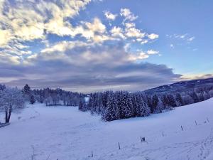 a field covered in snow with trees and clouds at Ferienwohnung Almzeit in Gressenberg +3 photos