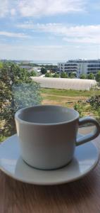 a coffee cup sitting on a plate on a window sill at Apartament Vogh Olimp in Olimp +11 photos