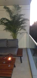 a living room with a couch and a table with a plant at Apartament Vogh Olimp in Olimp