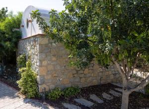 a stone wall with a tree in front of it at Odette Pansiyon Bodrum in Bodrum City