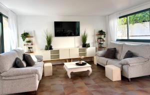 a living room with two couches and a tv at Gandia Confort Treviso in Gandía