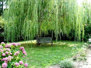a park bench sitting under a weeping willow tree at Hotel Hammer in Weiz