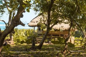 a hut in the middle of a field with trees at Pemimpi Sumba in Lambatama