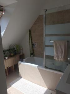 a bathroom with a shower and a bath tub at Maison ensoleillée plage a pied in Houlgate +8 photos