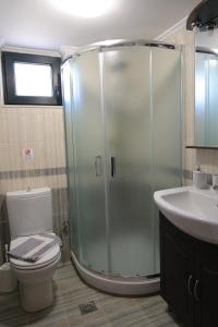 a bathroom with a shower and a toilet and a sink at Villa Thea, By IdealStay Experience in Kaloi Limenes