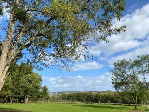 a tree in a field with a blue sky at Le pré du bonheur in Saint-Georges-sur-Baulche