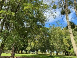 a group of trees in a park at Le pré du bonheur in Saint-Georges-sur-Baulche