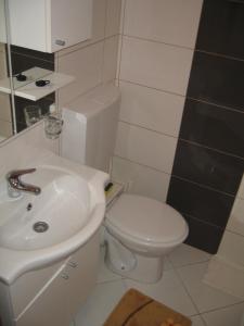 ein Badezimmer mit weißer Toilette und Waschbecken in der Unterkunft Apartments Luka in Sevid