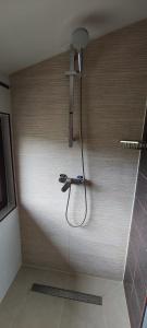 a shower in a bathroom with a shower head at Verde viu in Greşu +34 photos