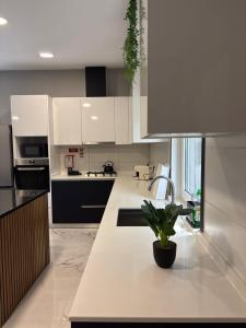 a kitchen with white cabinets and a potted plant at Casa de Ferias Tranquilo in Bitarães +32 photos
