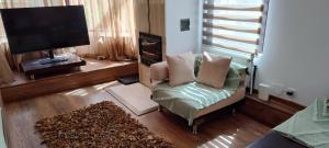 a living room with a chair and a flat screen tv at Verde viu in Greşu