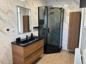a bathroom with a shower and a black sink at Za Wysokim Murem in Czarne
