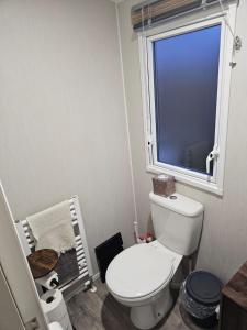 a bathroom with a white toilet and a window at Iris - D6 in Eyemouth +16 photos