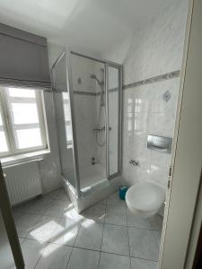 a bathroom with a shower and a toilet and a sink at Landgasthof Meisel in Kalchreuth +24 photos