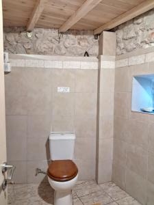 a bathroom with a toilet with a wooden toilet seat at Sea & Sun in Gialova +27 photos