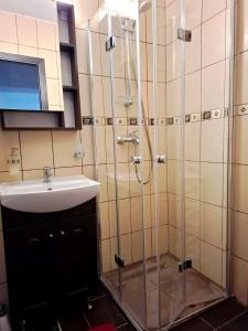 a bathroom with a shower and a sink at Cazare Herculane in Băile Herculane +7 photos