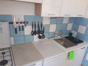 a kitchen with a sink and utensils on the wall at Apatmani Čriček in Vlašići +29 photos