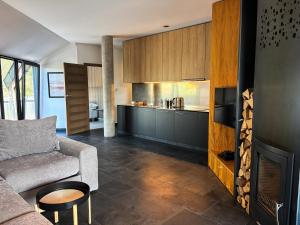ein Wohnzimmer mit Sofa und Kamin in der Unterkunft Apartamenty Malinka in Wisła