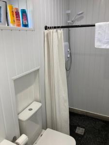 a bathroom with a white toilet and a shower at MeadowView Apt B -2 mins walk Carrigaline town -sleeps 4 - 2 Adults and 2 Kids in Carrigaline +14 photos