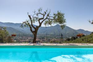 a swimming pool with a tree and a fence at Podere Par di Rota in Calci