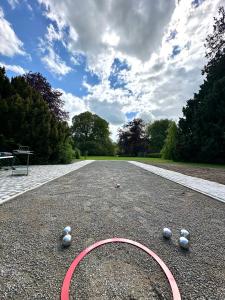 a golf course with balls on the ground at Gut Petersdorf Lensahn - ideal für Familien und Hunde - mit Kamin, Parkblick, Terrasse, eingezäuntem Garten und E-Ladestation in Lensahn
