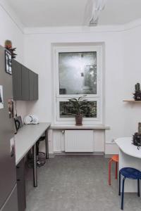 a room with a window with a potted plant in it at ArtHause in Gubin