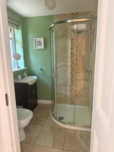a bathroom with a shower with a toilet and a sink at Peaceful Red Deer Cosy Apt in Letterfrack near The Connemara National Park in Letterfrack +32 photos