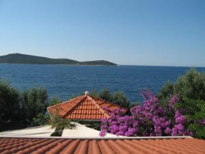 ein Haus mit Blick auf das Wasser und die Blumen in der Unterkunft Apartments Luka in Sevid