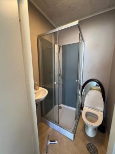 a bathroom with a shower and a toilet and a sink at Thistedvej 40 in Nørresundby