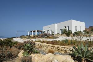 a house on top of a hill with cactus at Koufonisi Villa Kallisti in Koufonisia
