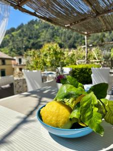 a blue bowl of spinach and a lemon on a table at Aquarius Maiori B&B in Maiori
