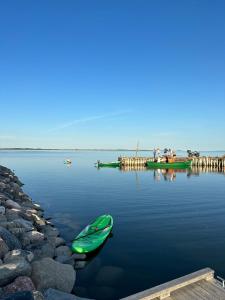 a green canoe sitting on the water next to a dock at Merevaatega Glämping Sarvel in Kukka