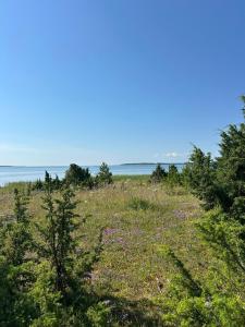 a field with trees and the ocean in the background at Merevaatega Glämping Sarvel in Kukka